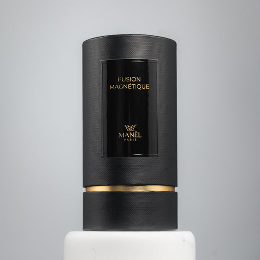 Fusion Magnétique